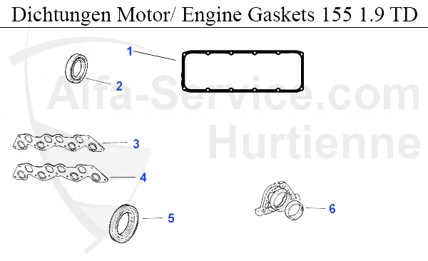 Dichtungen Motor