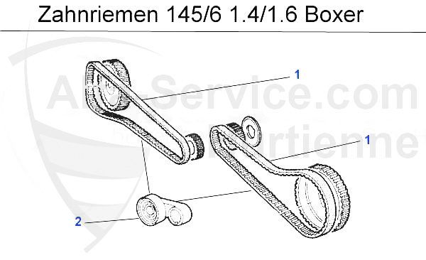 cinghia dentata