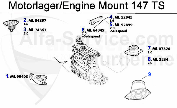TS 16V