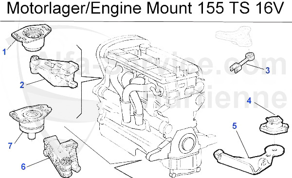 TS16V
