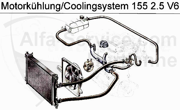 2.5 V6