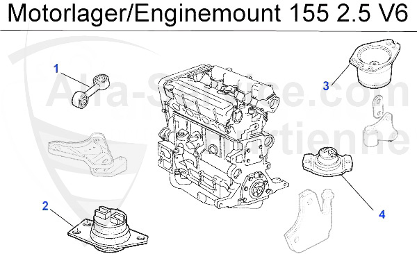2.5 V6