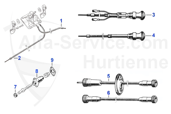 cavi/albero