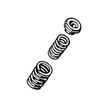 VALVE SPRINGS