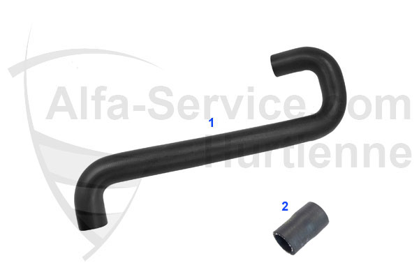 HOSES
