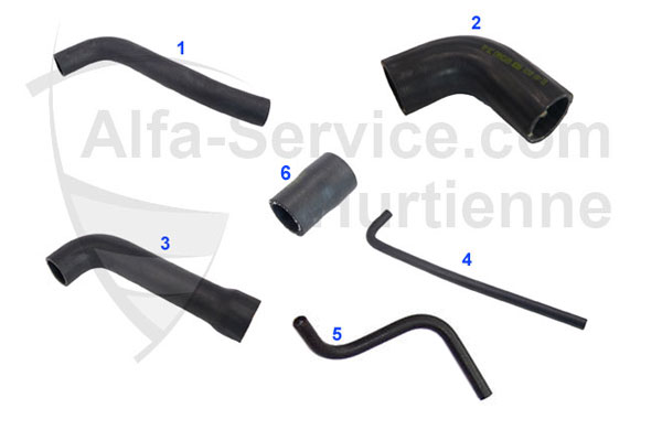 HOSES GTV/6