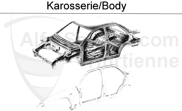 BODY