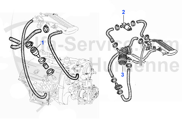 HOSES GTV6