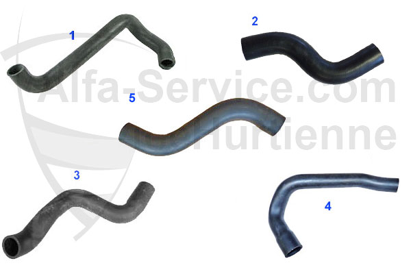 HOSES GTV/4