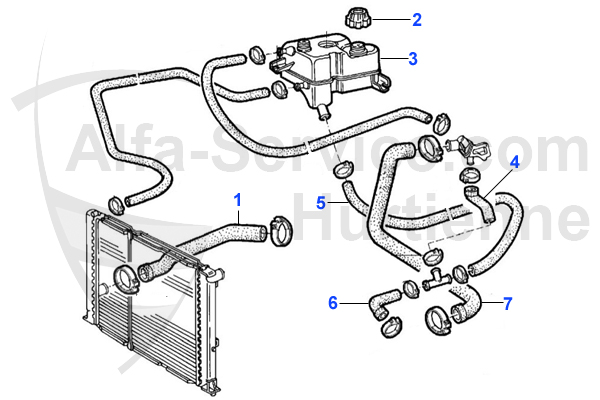 HOSES