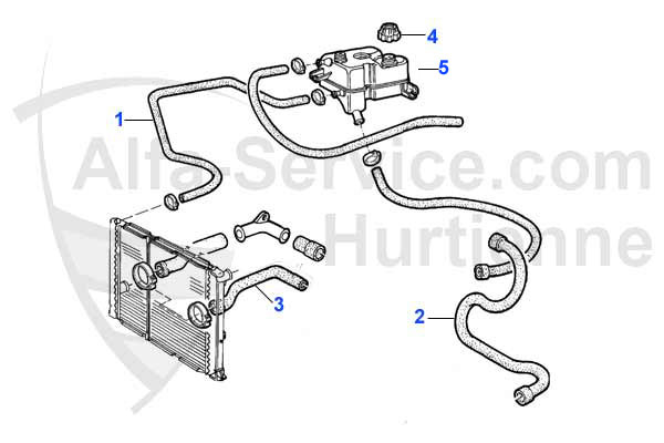 HOSES