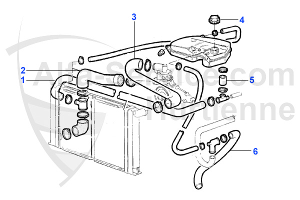 HOSES