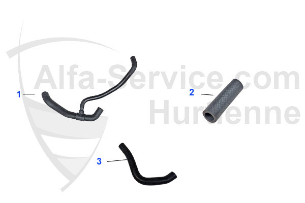 HOSES