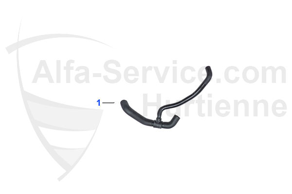 HOSES
