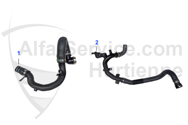 RADIATOR HOSES
