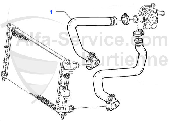 HOSES
