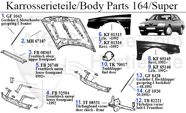 BODY PARTS