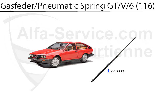 GAS SPRING