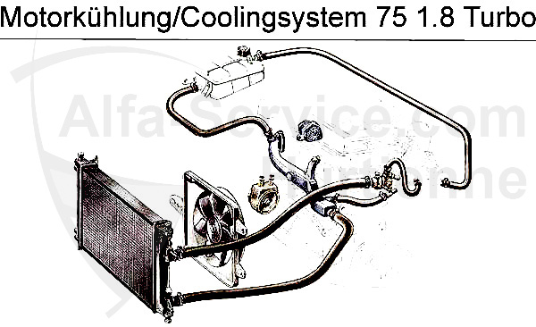 1.8 Turbo