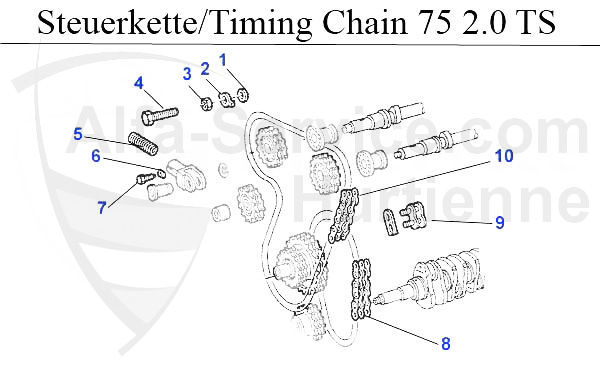 TIMING CHAIN