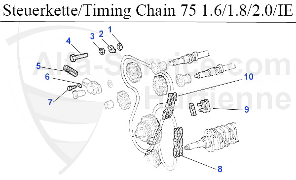 TIMING CHAIN