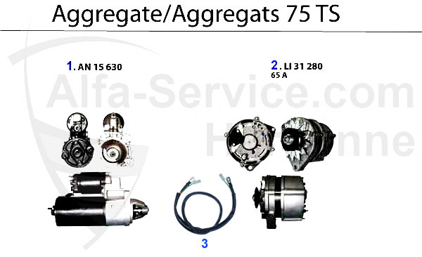 alternador/motor de arranque TS