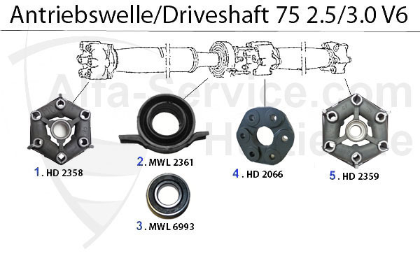 2.5/3.0 V6