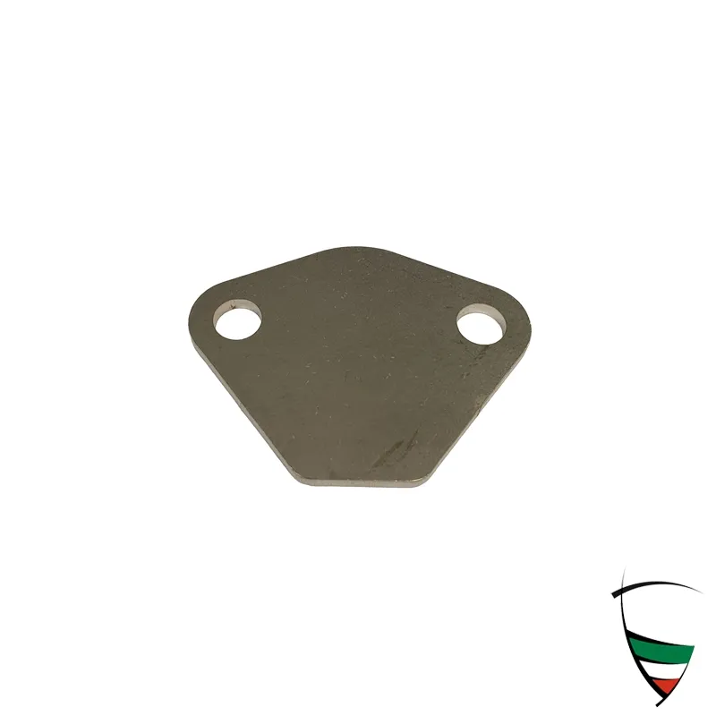 LOCKING PLATE FOR FUEL PUM FLANGE, CONVERSION TO ELECTRIC FUEL PUMP