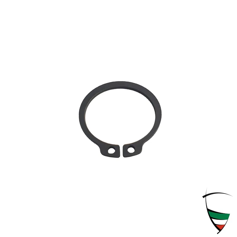 LOCKING RING CLUTCH SLAVE CYLINDER