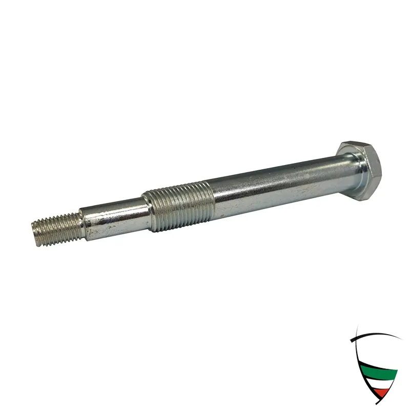 SCREW REAR TRAILING ARM
