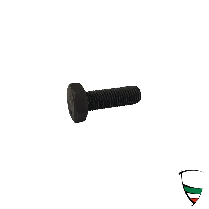 SCREW FOR BRAKE CALIPPER REAR ATE M10X1,25