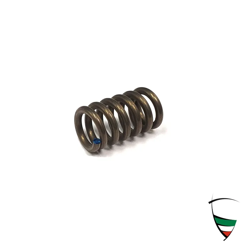 HANDBRAKE SHOE SPRING FOR PIN HS-CODE: 87083099