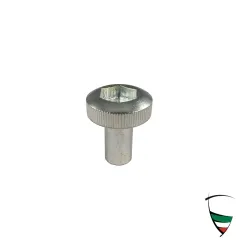 vite per coperchio valvola 2600/101/105 bianco zincato
