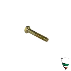 vite coppa olio superiore M6x1x34 con stelo