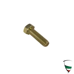 vite coppa olio superiore M7x1x25 senza stelo