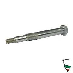 SCREW REAR TRAILING ARM