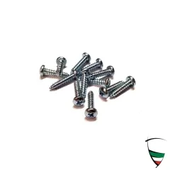GT SCREW SET FOR FASTENING PROFILE B-PILLAR 12 PCS