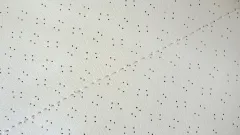 cielo de techo Giulia crema con orificio